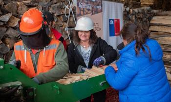 ¡Últimos Días! Seremi de Energía invita a comerciantes a postular al Sello Calidad de Leña