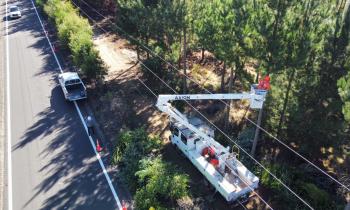 SEC Maule y Seremi de Energía inspeccionan en terreno trabajos de podas y despeje de CGE para evitar cortes de luz este invierno