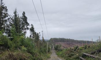 Energía Ñuble monitorea estado de la red eléctrica y coordina apoyo a sectores afectados por sistema frontal en Cobquecura