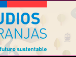 Estudios de Franjas