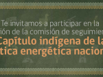 Postula a la Comisión de Seguimiento del Capítulo Indígena